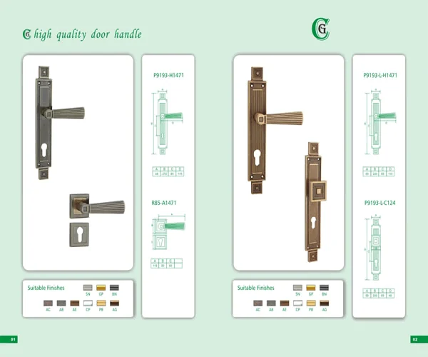 Door Handle and Door Accessories