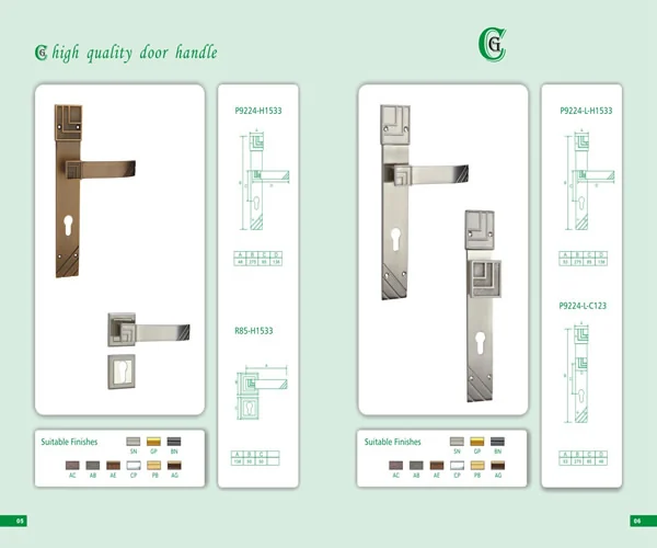 Door Handle and Door Accessories